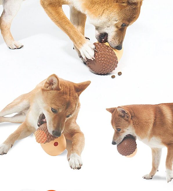 dog toy ball feeder2